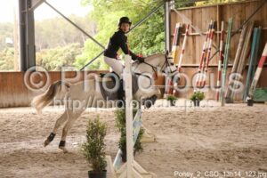 Poney_2_CSO_13h14_123.jpg