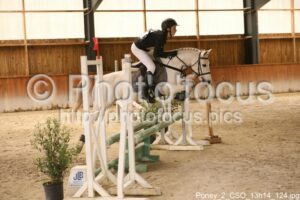 Poney_2_CSO_13h14_124.jpg