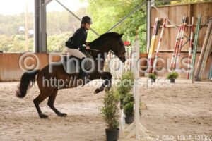 Poney_2_CSO_13h17_133.jpg