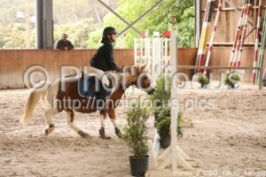 Poney_2_CSO_13h19_140.jpg