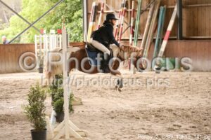 Poney_2_CSO_13h19_141.jpg
