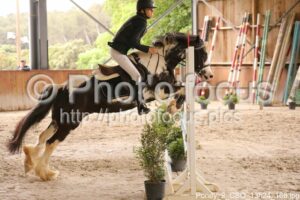 Poney_2_CSO_13h24_168.jpg