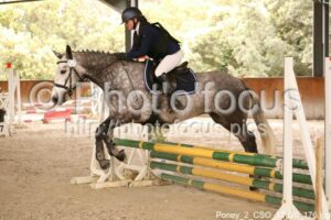 Poney_2_CSO_13h26_176.jpg