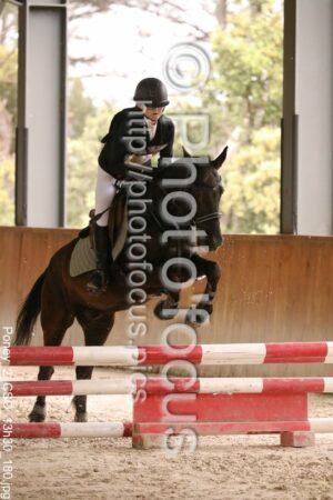 Poney_2_CSO_13h30_180.jpg