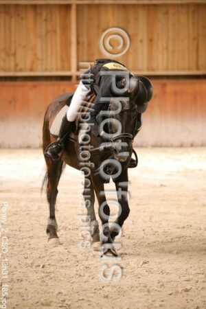 Poney_2_CSO_13h31_185.jpg