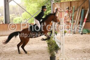 Poney_2_CSO_13h34_198.jpg