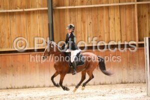 Poney_2_CSO_13h34_200.jpg