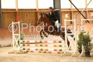 Poney_2_CSO_13h34_201.jpg
