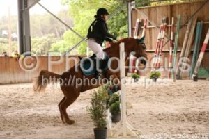 Poney_2_CSO_13h36_207.jpg
