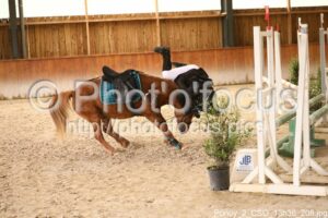 Poney_2_CSO_13h36_208.jpg