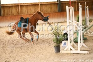Poney_2_CSO_13h36_209.jpg