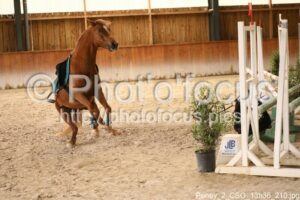 Poney_2_CSO_13h36_210.jpg