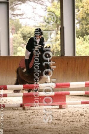 Poney_2_CSO_13h41_213.jpg