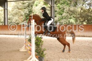 Poney_2_CSO_13h42_221.jpg