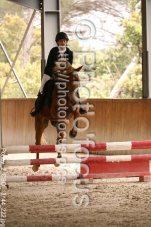 Poney_2_CSO_13h44_222.jpg
