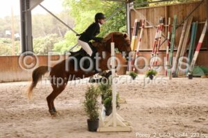 Poney_2_CSO_13h44_223.jpg