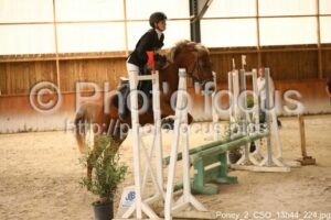 Poney_2_CSO_13h44_224.jpg