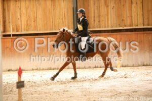 Poney_2_CSO_13h44_225.jpg
