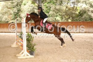 Poney_2_CSO_13h47_231.jpg