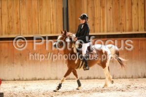 Poney_2_CSO_13h51_250.jpg