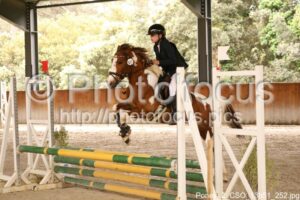 Poney_2_CSO_13h51_252.jpg