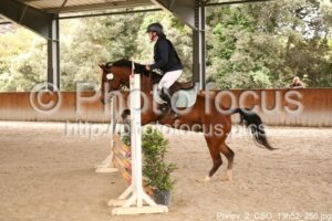 Poney_2_CSO_13h52_256.jpg