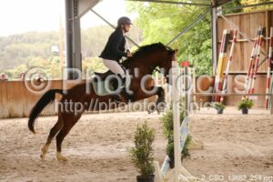 Poney_2_CSO_13h52_258.jpg