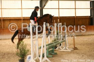 Poney_2_CSO_13h52_259.jpg