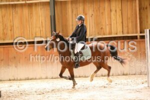 Poney_2_CSO_13h52_260.jpg