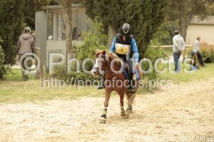 Poney_2_Cross_15h14_010.jpg
