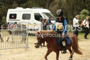 Poney_2_Cross_15h14_011.jpg