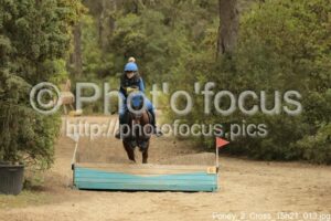 Poney_2_Cross_15h21_013.jpg