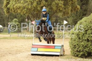 Poney_2_Cross_15h21_014.jpg