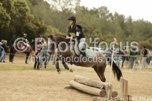 Poney_2_Cross_15h23_018.jpg