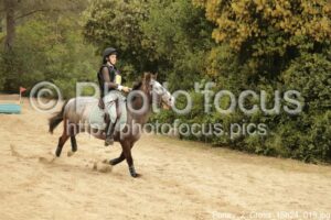 Poney_2_Cross_15h24_019.jpg