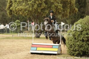 Poney_2_Cross_15h25_022.jpg