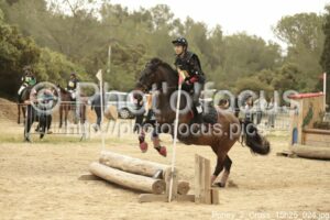 Poney_2_Cross_15h25_024.jpg