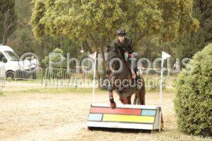 Poney_2_Cross_15h26_027.jpg