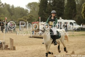 Poney_2_Cross_15h29_036.jpg