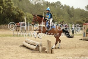 Poney_2_Cross_15h34_043.jpg