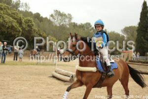 Poney_2_Cross_15h35_047.jpg