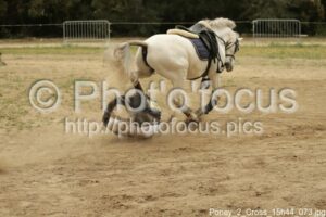 Poney_2_Cross_15h44_073.jpg
