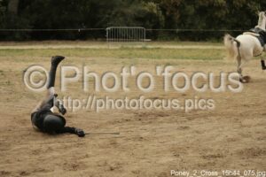 Poney_2_Cross_15h44_075.jpg