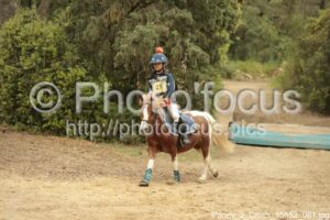 Poney_2_Cross_15h52_081.jpg