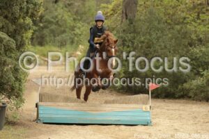 Poney_2_Cross_15h53_086.jpg