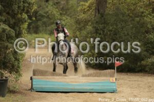 Poney_2_Cross_15h55_092.jpg