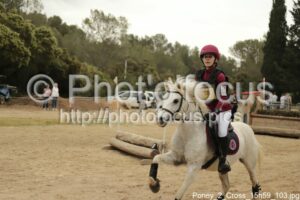 Poney_2_Cross_15h59_103.jpg