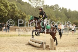 Poney_2_Cross_16h02_114.jpg