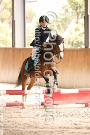 Poney_3_CSO_15h03_003.jpg