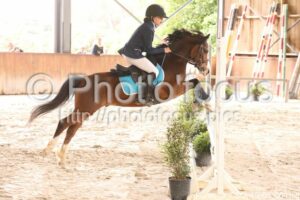Poney_3_CSO_15h03_004.jpg